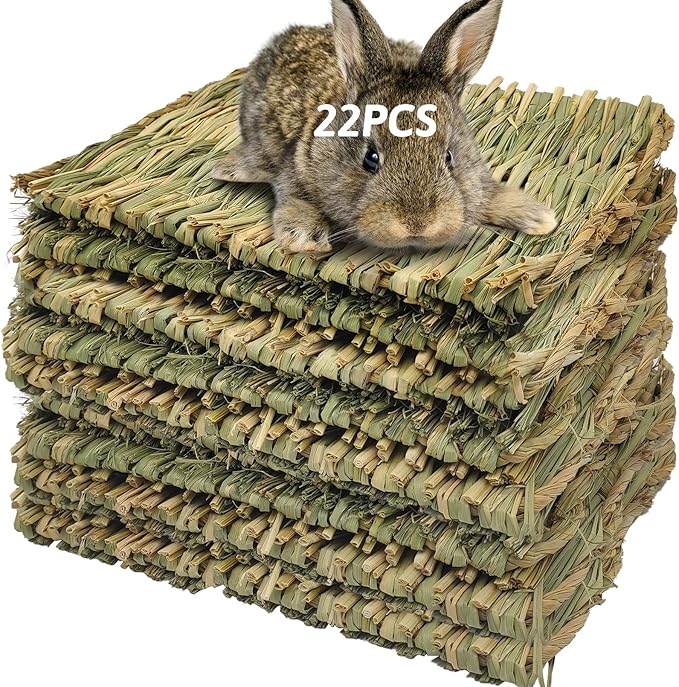 Grass Mat for Rabbit Bunny Chew Toys Woven Bed Mat for Guinea Pig Chinchilla Squirrel Hamster Cat Dog and Small Animal (22PCS Grass mat)