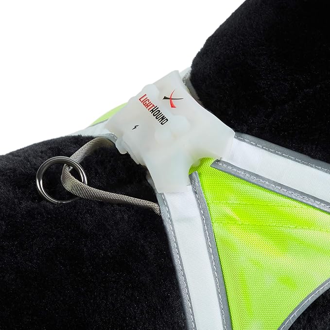 Noxgear LightHound - Multicolor LED Illuminated, Reflective Dog Harness (Medium)