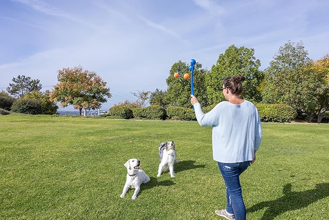 Chuckit! The Duo 22M Double Launcher Dog Toy, 22" Length, Includes 2 Medium Tennis Balls (2.5") Size Medium for Breeds 20-60lbs, Multi-Dog and Pack Play