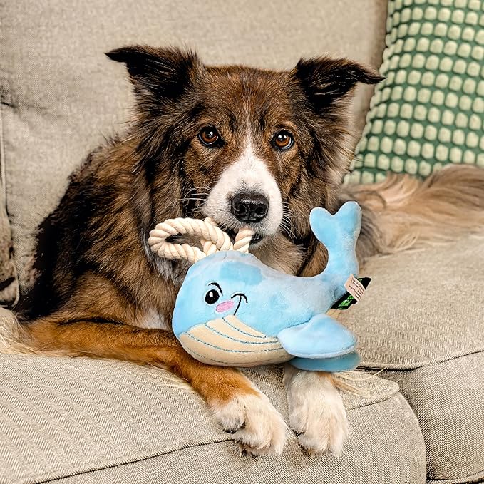 Ocean Collection Dog Toys | Jumbo Sized Wendy The Whale | Cute, Durable, & Sustainable Plush Chew Toys for Dogs 50 lbs & up | Eco Friendly & 100% Recycled Materials
