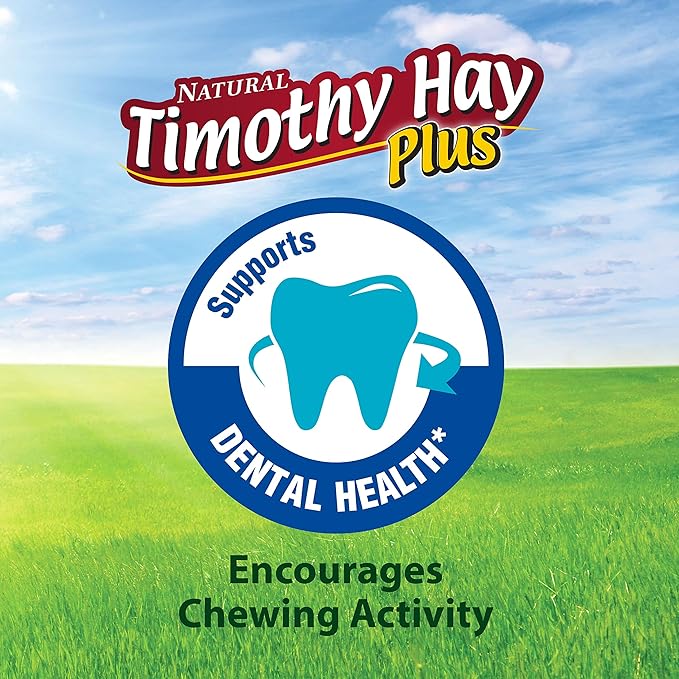 Kaytee All Natural Timothy Hay Plus Rose & Thyme for Guinea Pigs, Rabbits & Other Small Animals, 24 Ounce