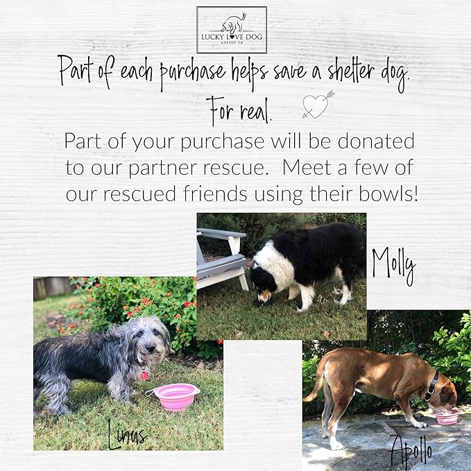 Lucky Love Dog, Collapsible Dog Bowl Compact Travel Water Dog Dish, Steel