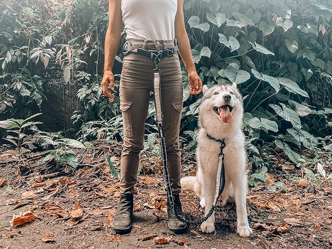 Tuff Pupper Heavy Duty Hands Free Dog Leash | One Large Dog Up to 125 lbs | Comfortable Shock Absorbing Bungee | Reflective Padded Handles | Lumbar Waist Belt 24-42" | Walking Jogging Running Leash