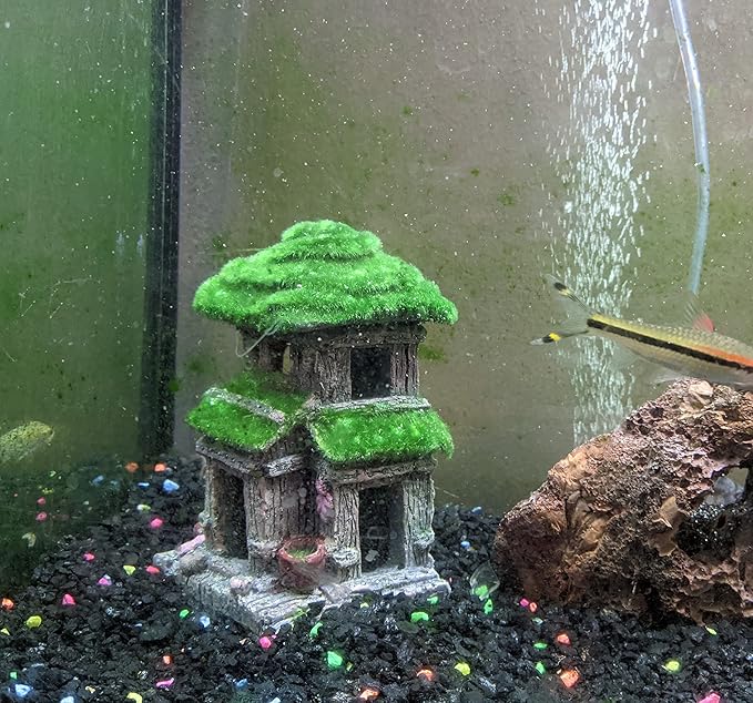 Fish House - Aquarium Decoration with Lifelike Moss, Comes with 2x Artificial Plants
