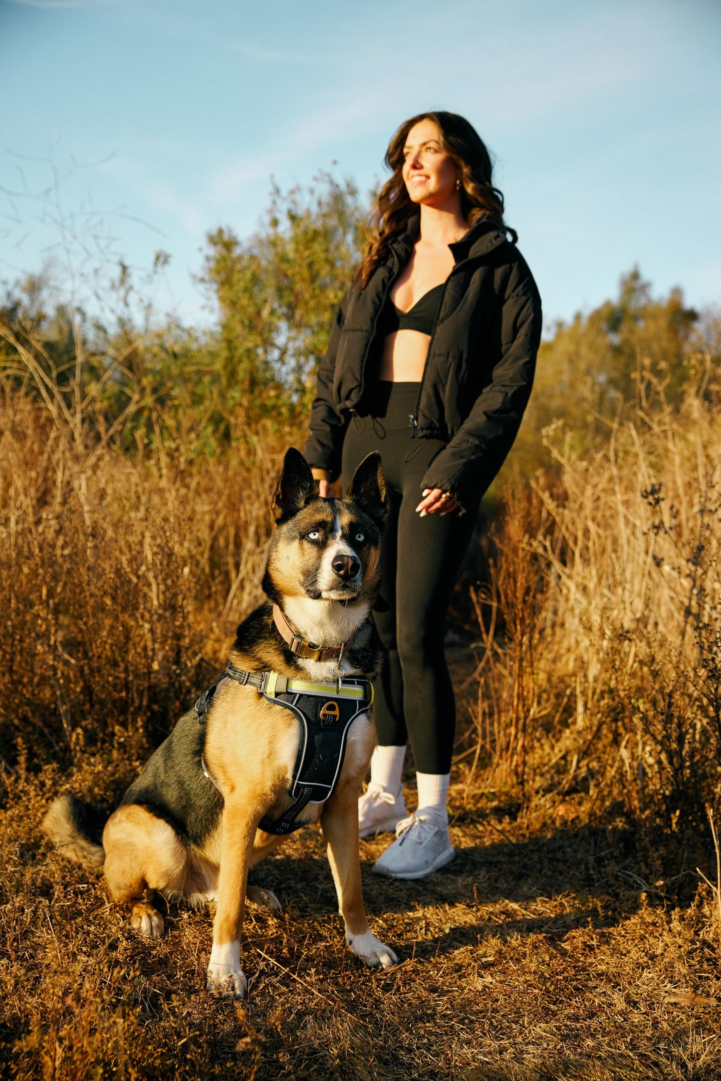 Lumi One LED Dog Harness for Night Visibility and Safety, Patent Pending – High-Visibility Light-Up Dog Vest with 1000 Lumen LED, Rechargeable Battery, Adjustable Fit, Reflective Trim (Black, Medium)