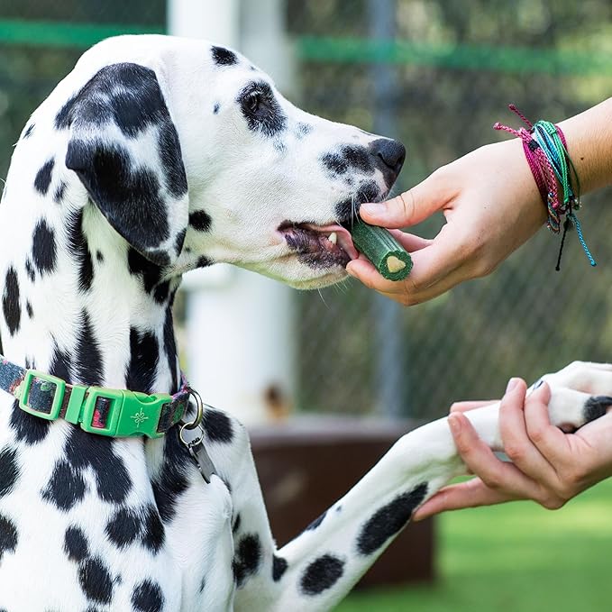 ARK NATURALS Brushless Toothpaste, Dog Dental Chews for Large Breeds, Freshens Breath, Helps Reduce Plaque & Tartar, 18oz, 1 Pack