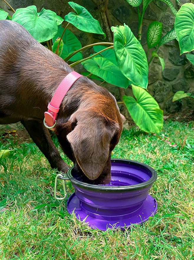 Tuff Pupper SuperBigSlurp Collapsible Dog Bowls, Extra Large Capacity, Portable, Food Safe, Odorless, Non-Toxic Silicone