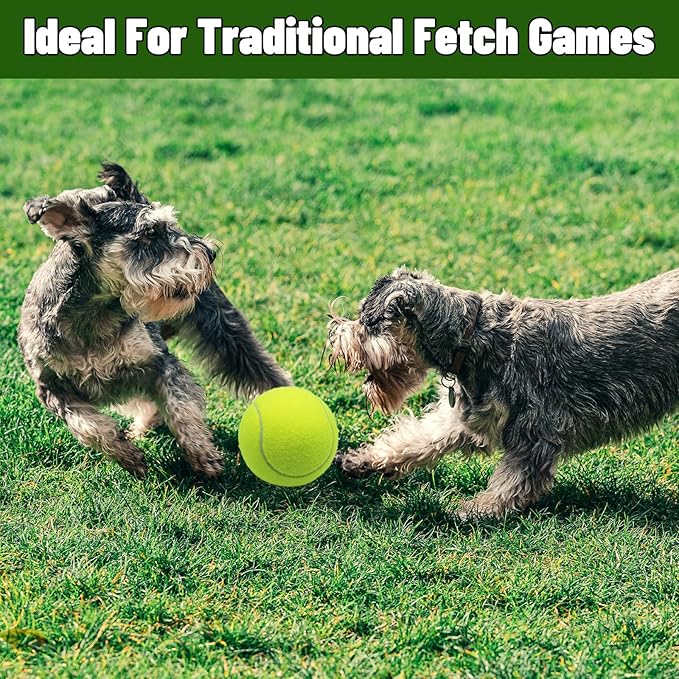 Magicorange Large Tennis Balls for Dogs, 6 Pack 4 Inch Big Tennis Ball Pet Chew Toy Large Balls for Outdoor/Indoor Sports (Multicolor, 6 Pack)