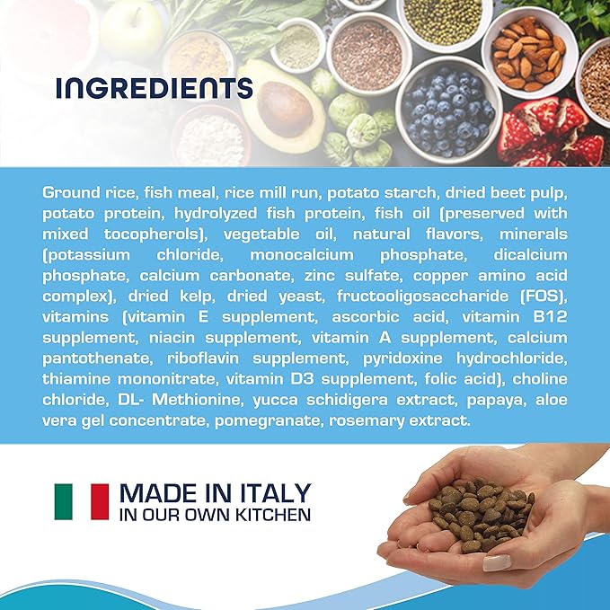 Forza10 Dermo Allergy Dog Food, Dog Food for Allergies and Itching, Dry Dog Food for Skin Allergies, Fish Flavor Sensitive Stomach Dog Food, Sensitive Stomach Dog Food Adult Dogs All Breeds, 6 Pounds