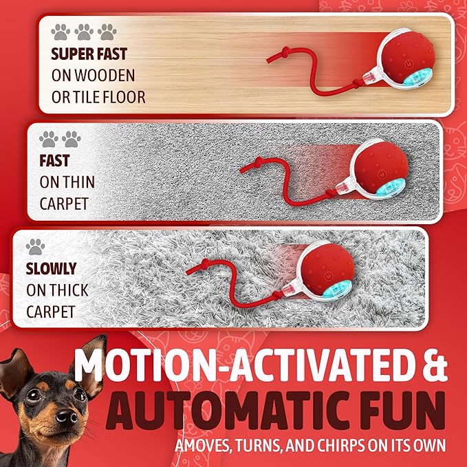 2025 New Interactive Pet Toy Ball for Indoor Cats & Small Dogs – Motion-Activated Automatic Rolling Ball with Chirping Sounds, Elastic Tail, Smart Rechargeable Toy to Keep Pets Active.