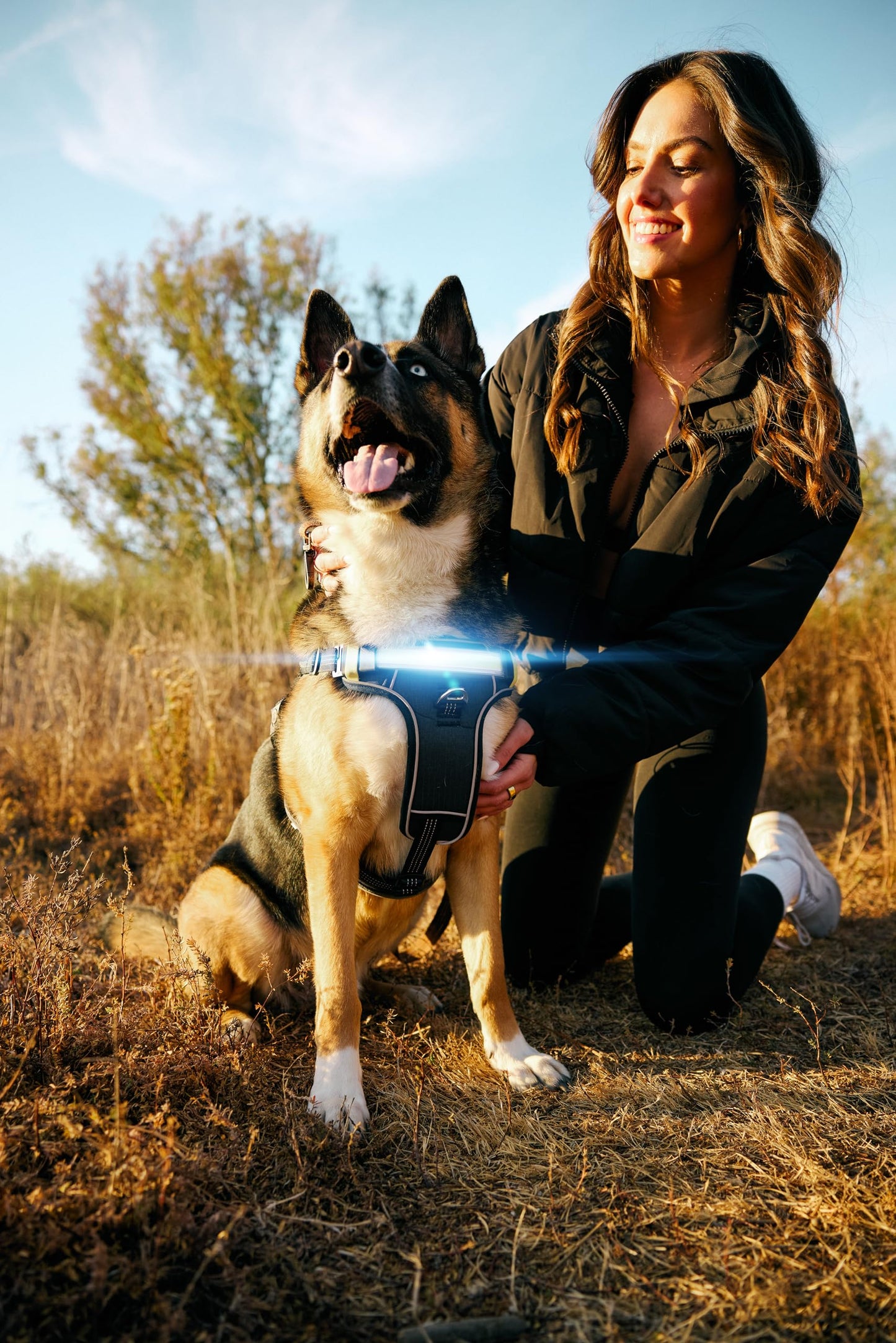 Lumi One LED Dog Harness for Night Visibility and Safety, Patent Pending – High-Visibility Light-Up Dog Vest with 1000 Lumen LED, Rechargeable Battery, Adjustable Fit, Reflective Trim (Black, Medium)