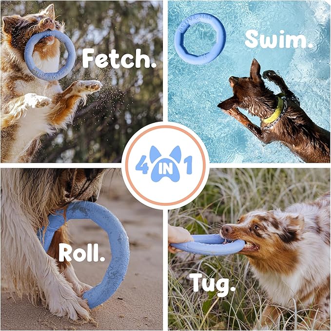 Set of 2 Active Dog Toy Rings - Floating Dog Rings for Outdoor Play, Training & Fetch - Durable Fetch Toy, Frisbee Alt, Outside Yard Toys for Large Breeds - Blue