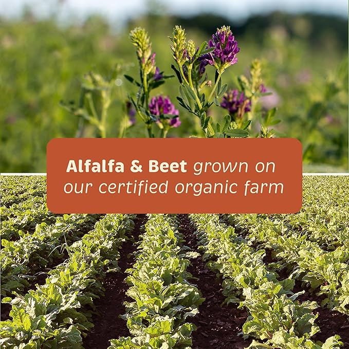 Joint and Mobility for Dogs - Joint Support Supplement for Dogs - Antioxidant Supplement with Vitamin C & E - Dog Supplement with Glucosamine & Chondroitin - 100 Chewable Wafers