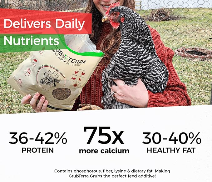 GrubTerra Golden Dried Black Soldier Fly Larvae - Premium Supplement to Increase Egg Production for Hen Treats, Bird Feed, Chicken Feeder, Pet Bird Food, and Wildbird Feed, Never from China! (2lb)