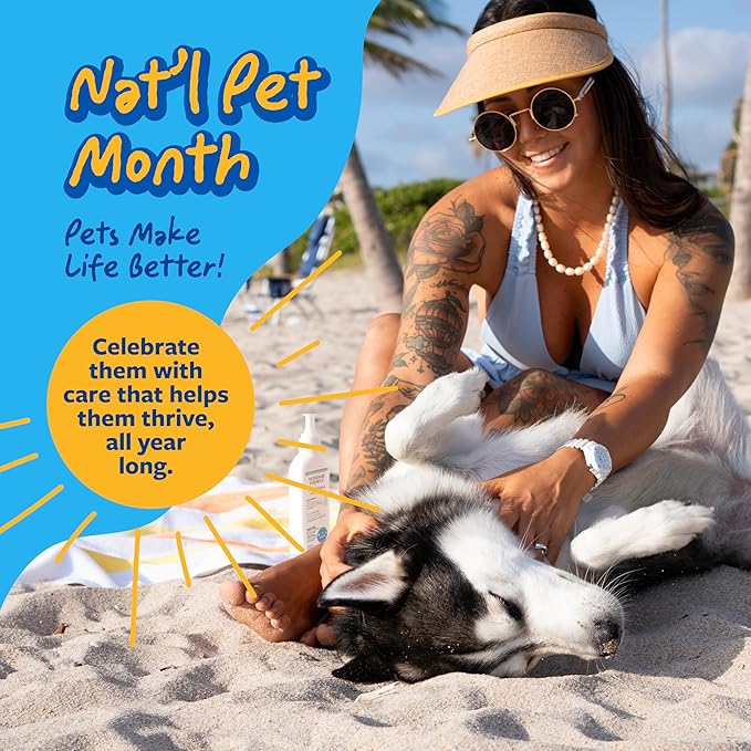 Veterinary Formula Senior Support Joint Supplement for Dogs - Soft Chews, 30ct - Support Healthy Joints, Skin, Gut, and Immunity with Glucosamine for Dogs