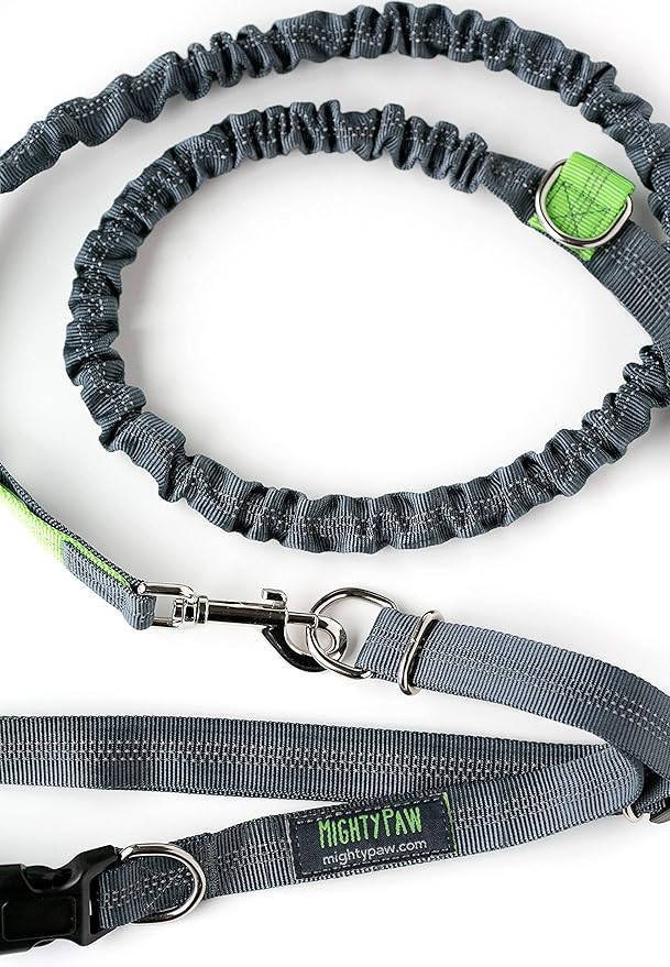 Mighty Paw Hands Free Dog Leash | Bungee Waist Leash for Dog Walking. Pet Running Hands Free Tether for Large, Medium & Small Breeds. Pet Waist Belt (36" - 48") Up to 150 lbs - Gray