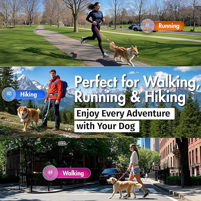 Hands Free Dog Leash with Waist Belt Lifetime Replacement, Dual Handle Bungee Leash for Running, Jogging, Hiking and Walking, for Medium and Large Dogs 5118