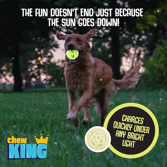 Chew King Glowing Fetch Ball, Dog Ball Toys, Medium 2-Pack Lattice