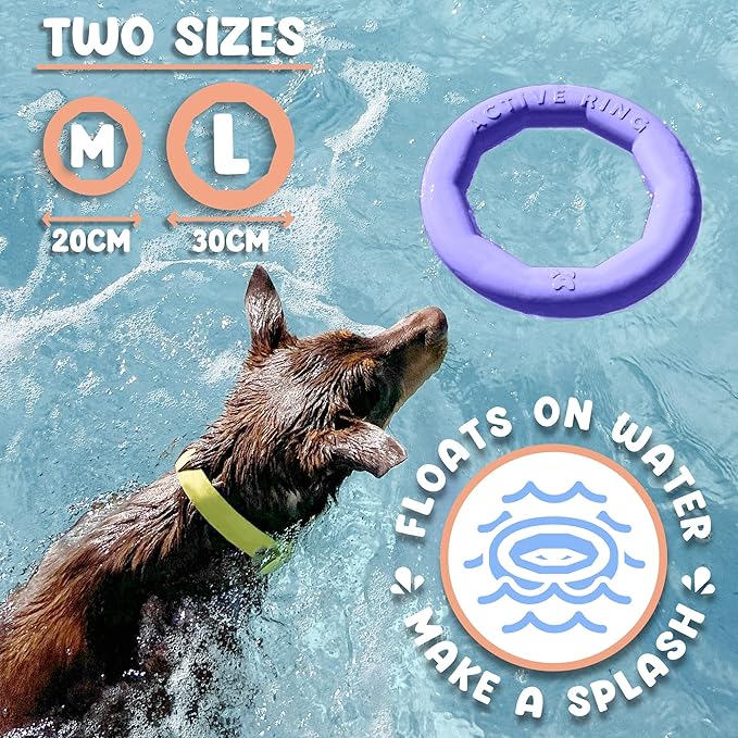 Set of 2 Active Dog Toy Rings - Floating Dog Rings for Outdoor Play, Training & Fetch - Durable Fetch Toy, Frisbee Alt, Outside Yard Toys for Medium Breeds - Purple