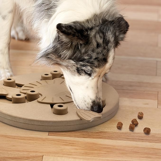 Outward Hound by Nina Ottosson Dog Worker Treat Puzzle Enrichment Toy, Level 3 Advanced, Tan