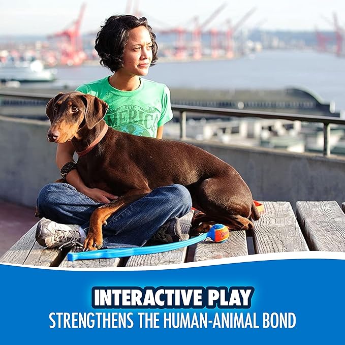 Chuckit! Dog Ball Launcher - Pro 25" with Medium (2.5"), Dog Fetch Ball Thrower, For Dogs 20-60 Pounds, Made in USA