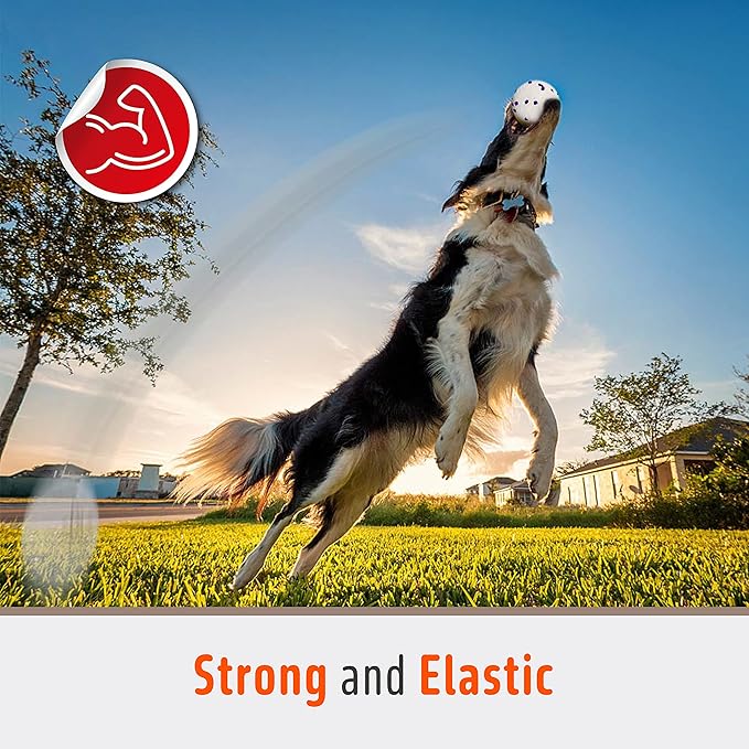 Dog Balls Chew Toys Tennis Ball for Aggressive Chewers Teething Molar Toys Water Toy Interactive Fetch Balls Gift Set for Large Medium Dog and Puppies (4 Pack-White)