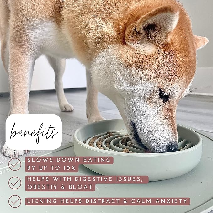 The Slowdown Bowl Silicone Slow Feeder for Dogs & Puppies, Slow Eating, Modern Lick Mat Design, Reduces Gulping, Fits 2 Cups 7.5” Across x 1.5” Tall, Mealtime Challenge, Medium-Sage