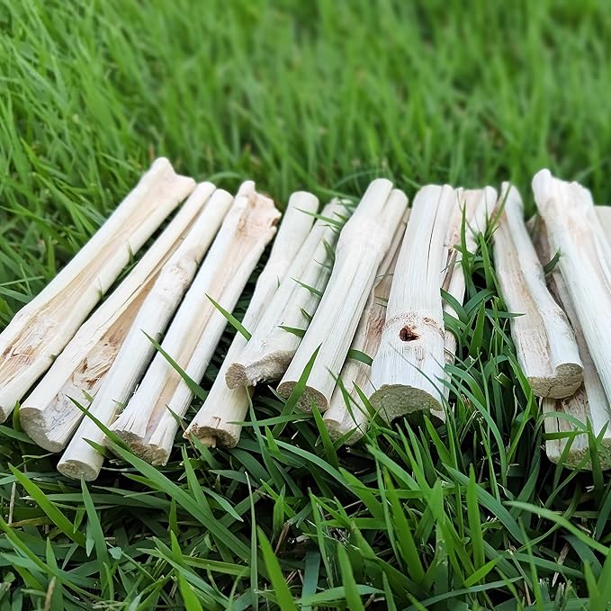 HIIMALEX Bunny Snacks 300g/10oz. Sweet Bamboo Molar Chew Treat Sticks for Rabbits Guinea Pigs Hamsters Small Animal