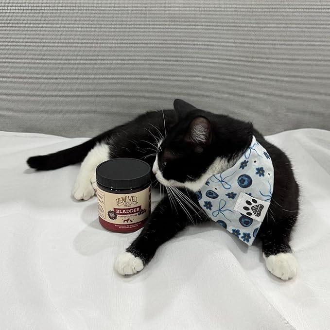 Hemp Well Bladder Support Powder - Urinary Health Support for Dogs & Cats, 2.11 oz. (2 Pack)