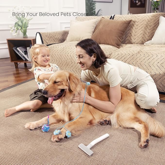 Layer Brush Pet Hair Removal Tool for Raking up Embedded Hair and Debris, Reusable Fabric-Friendly Cat and Dog Hair Remover for Couch, Car, Rug, Cat Tree and Others