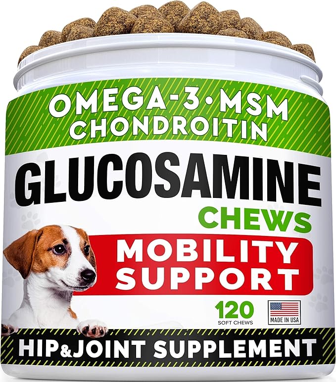 Glucosamine Treats for Dogs + Dog Probiotics Treats for Picky Eaters Bundle - Joint Supplement w/Omega-3 Fish Oil, Chondroitin, MSM and Digestive Support, Allergy, Gas and Constipation Relief
