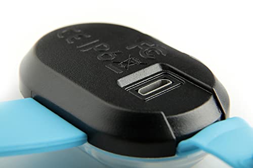 Max & Molly LED Dog Collar Light - USB Rechargeable Safety Light for Night Walking, Running, Hiking