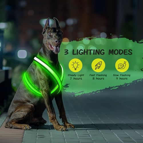 Light Up Dog Harness, Rechargeable LED Dog Harness, Glow in The Dark Dog Vest, Adjustable Pet Lights for Night Walking, Reflective Safety Vest for Medium Large Pet (Green, S)