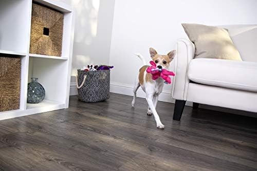 goDog Bubble Plush Dragons Squeaky Dog Toy, Chew Guard Technology - Pink, Small