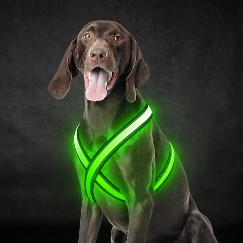 Light Up Dog Harness, Rechargeable LED Dog Harness, Glow in The Dark Dog Vest, Adjustable Pet Lights for Night Walking, Reflective Safety Vest for Medium Large Pet (Green, S)