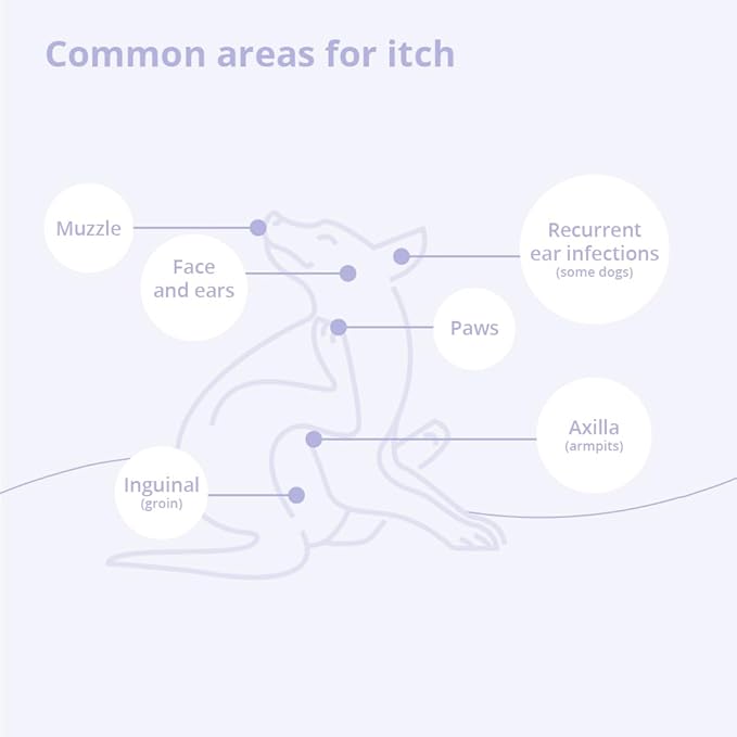 Shampoo for Dogs and Cats, 8 oz