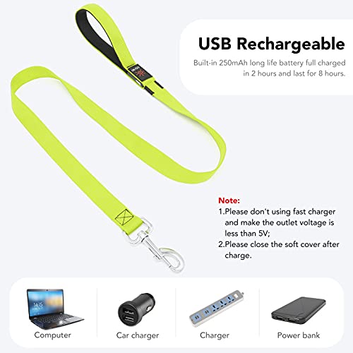 Colaseeme Light Up Dog Leash, 4FT LED Pet Leashes Micro USB Rechargeable, Nylon Glow Safety Dogs Lights at Night (Green)