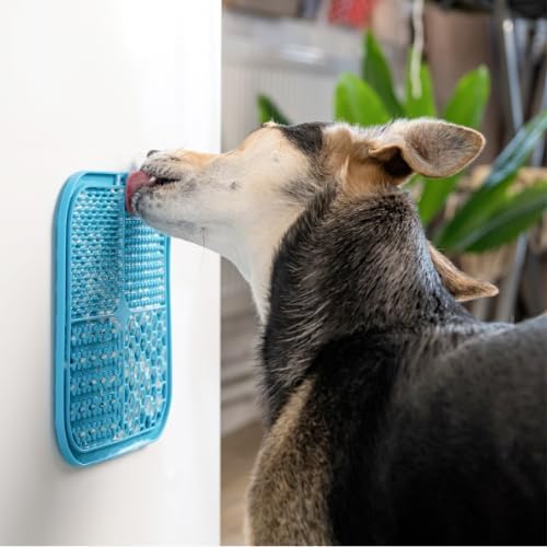 Dog Enrichment Toys Combo – Interactive Dog Puzzle Toys & Lick Mat for Dogs for Mental Stimulation, Slow Feeding & Calming Play