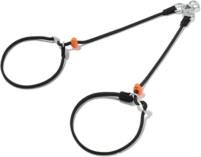 Howgo Double Slip Leash Slip Lead | Dual Dog Lead for 2 Dogs,360° Swivel No Tangle | Dog Training Nylon Leash and Collar | Double Clip Coupler and Splitter | Lightweight Aluminum (Black, 3FT)