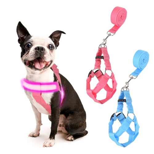 QVEEQ Light Up Dog Harness, led Dog Collar Rechargeable, Lighted Dog Collars for Night Safety Walking Camping Adjustable, Three Lighting Modes (Blue, S)