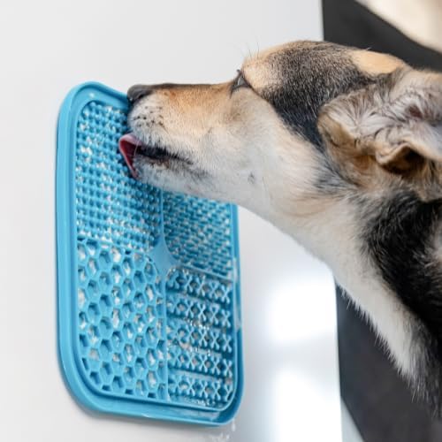 3-in-1 Dog Activity Kit - Homemade Dog Treats Kit, Puzzle Toy and Lick Mat for Dogs - Brain Stimulation, Enrichment, Calming, Slow Feeding - Healthy Treats and Busy Toys for Dogs and Puppies