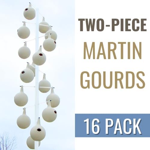Heath Two-Piece Martin Gourds, Crescent SREH, 16 Pack, 30016