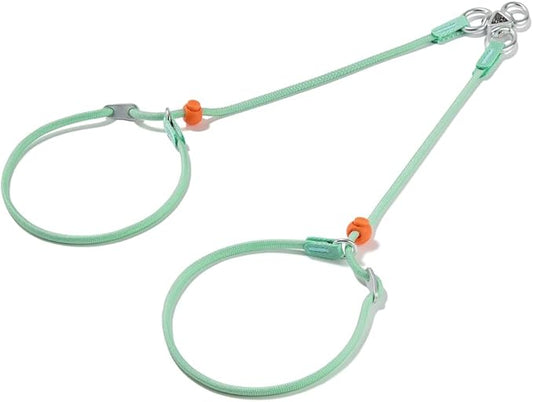 Howgo Double Slip Leash Slip Lead | Dual Dog Lead for 2 Dogs,360° Swivel No Tangle | Dog Training Nylon Leash and Collar | Double Clip Coupler and Splitter | Lightweight Aluminum (MintGreen, 3FT)