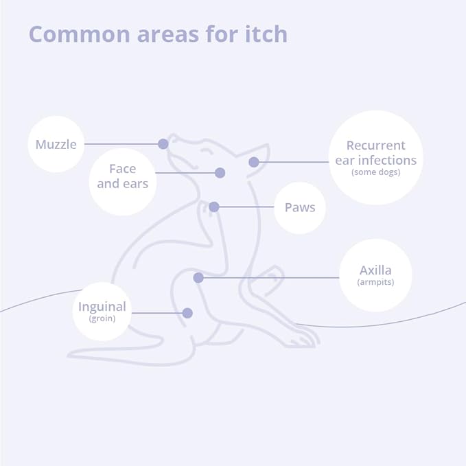 4 Shampoo for Dogs, Cats and Horses, 16 Ounce