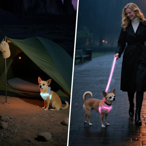 QVEEQ Light Up Dog Harness, led Dog Collar Rechargeable, Lighted Dog Collars for Night Safety Walking Camping Adjustable, Three Lighting Modes (Blue, S)