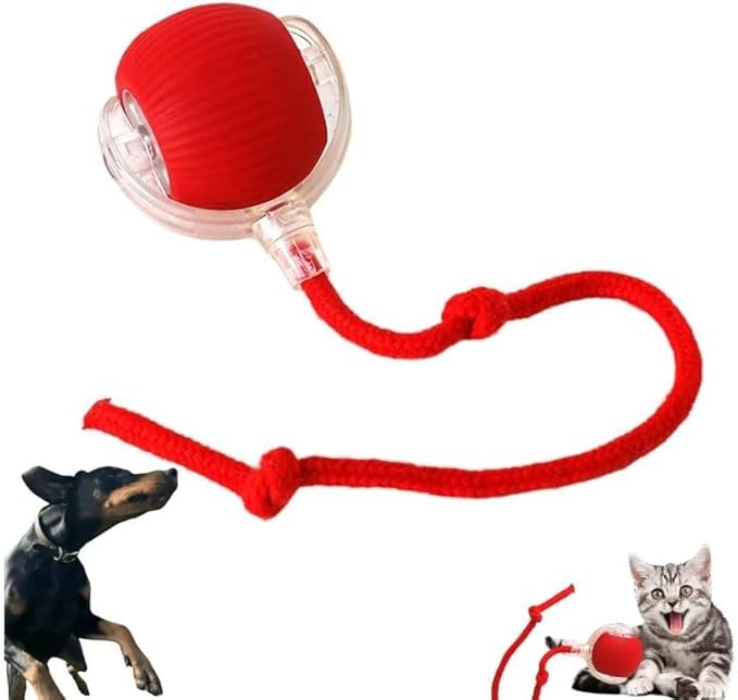 Dog/Cat Automatic Ball - Activated Automatic Moving Toy, Rechargeable, Self Play, Ball Toy with Long Tail Teaser