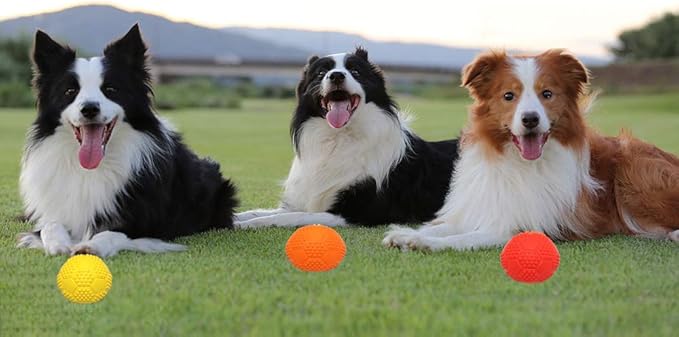 Squeaky Dog Toys, Non-Toxic Rubber Play Balls - Interactive & Training Chew Toys for Puppies & Small/Medium Dogs (7cm/2.75in Pack of 3)