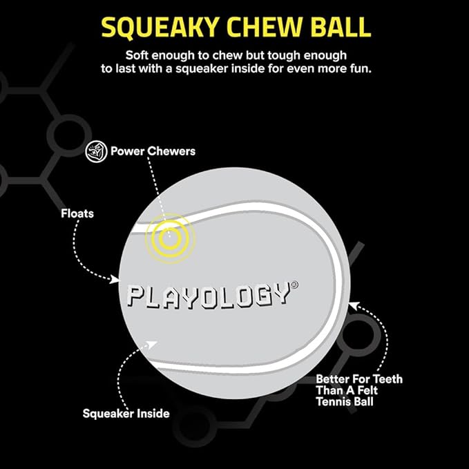 Playology Squeaky Dog Toy | Durable Rubber Interactive Dog Ball | Chicken Scented Fetch Ball for Medium Dogs, Value 2-Pack | Floating Dog Toy Made from Non Toxic Materials
