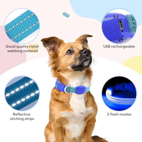 Domagiker LED Dog Collar Rechargeable - Reflective Light Up Cat Collar Adjustable Glowing Puppy Necklace Safety Dog Lights for Night Walking (XS, Blue)