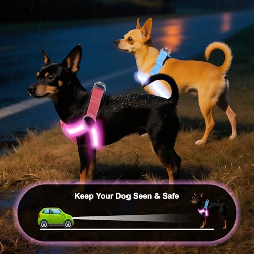 QVEEQ Light Up Dog Harness, led Dog Collar Rechargeable, Lighted Dog Collars for Night Safety Walking Camping Adjustable, Three Lighting Modes (Blue, S)